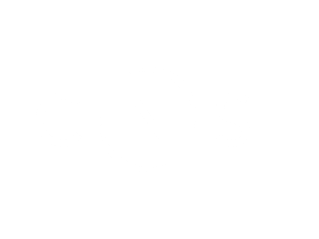CNSI Logo